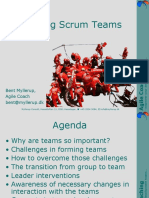 Coaching Scrum Teams