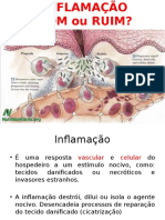 INFLAMAÇÃO