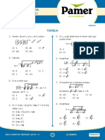 Pamer Algebra Completo