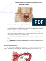 Anatomy and Physiology of Female Reproductive System 1