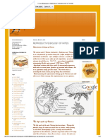 Corona Beekeepers - Reproductive Biology of Mites