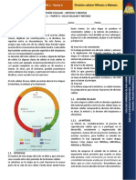 Informacion Mitosis