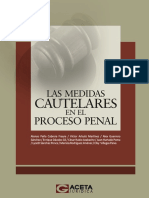 01 Las Medidas Cautelares en El Proceso Penal