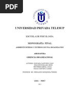 Trabajo Final Ambiente Interno y Externo de Una Organización