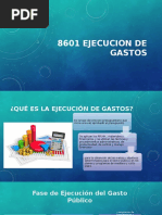 8601 Ejecucion de Gastos