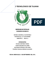 Desarrollo Sustentable Petroleo