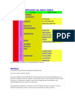 Clasificacion Del Reino Animal