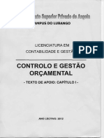 Controlo e Gestão Orçamental I