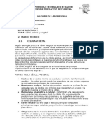 Informe de Lab U.C Celula Animal y Vegetal