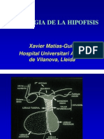 Anatomia Patologica - Hipofisis