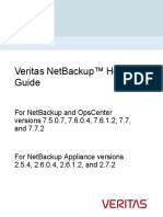 Veritas NetBackup Hotfix Guide