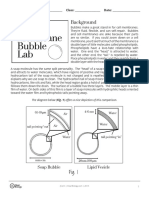 Cell Membrane Bubble Lab