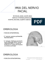 Anatomia Nervio Facial