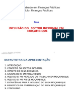 Sector Informal (Inclusão Slides)