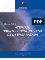 Salud Oral Embarazadas Minsal