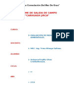 Informe de Visita A Carhuash Jirca