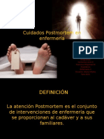 Cuidados Postmortem en Point