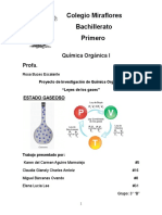 Proyecto Leyes de Gases