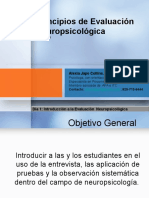 Introduccion A La Evaluación Neuropsicologica