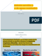 Tratamiento Aerobio y Anaerobio