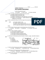 Circulatory Wks