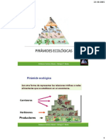 1° C14 Piramides Ecológicas