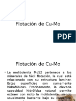 Flotaacion de Molibdeno