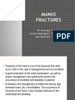 Manus Fractures