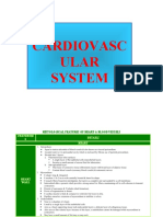 'Aliah's Cardiovascular System