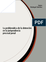 030-La Problemática de La Detención en La Jurisprudencia Procesal Penal