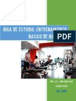 Guia para Entrenamiento Gym PDF