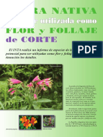 2010flora Nativa para Ser Utilizada Como Flor y Follaje de Corte PDF