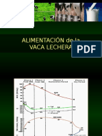 Alimentación de La Vaca Lechera PDF 