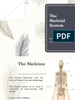 Osteology