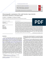 Ultrasonographic Examination of The Small Intestine, Large Intestine