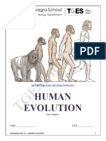 Human Evolution