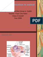 Zikri Aiman-Cell Organization in Animals