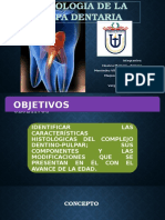 Histologia de La Pulpa Repartido