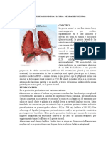 Enfermedades de La Pleura-Derrame Pleural Hinga 04