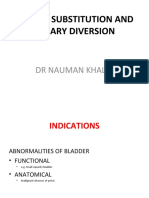 Bladder Substitution and Urinary Diversion