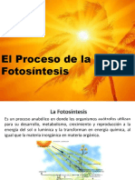 La Fotosìntesis