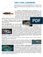 Caracteristicas de Los Peces Del Mar Peruano