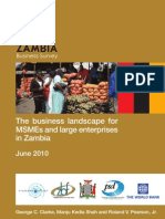 The Business Landscape For MSMEs and Large Enterprises in Zambia - ZBS July 2010