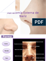 Anatomía y Fisiología de Nariz