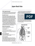 Upper Back Exercises