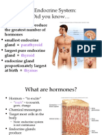 The Endocrine System: Did You Know