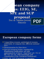 EU Company Law-EEIG SE SPE