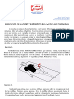 Autoestiramientos Del Piramidal PDF