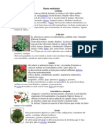 Plantas Medicinales 40 Con Imagenes