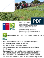 Produccion Hortalizas Provincia de Arauco